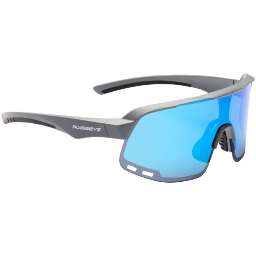 Foto de Swiss Eye Gafas - Anytime - Grey Matt/Black - Smoke BW Revo | 12413