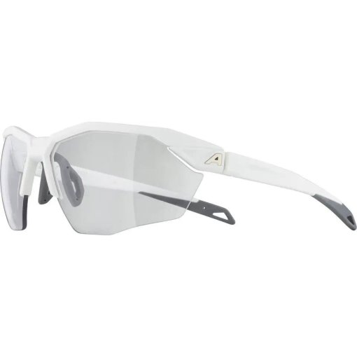 Foto de Alpina Gafas - Twist Six S HR V - white matt / Varioflex black