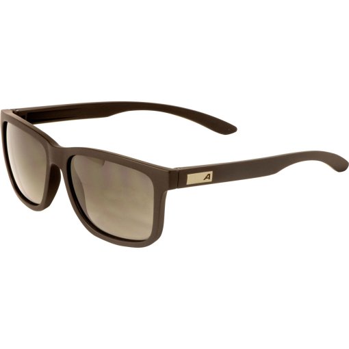 Foto de Alpina Gafas - Burst - brown matt/brown