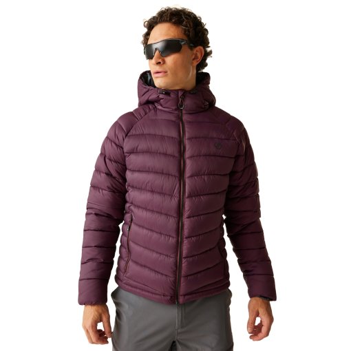 Foto de Dare 2b Chaqueta Hombre - Torrek Mountain Baffled - 909 Fig