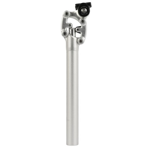 Foto de SR Suntour NCX Seatpost - silver