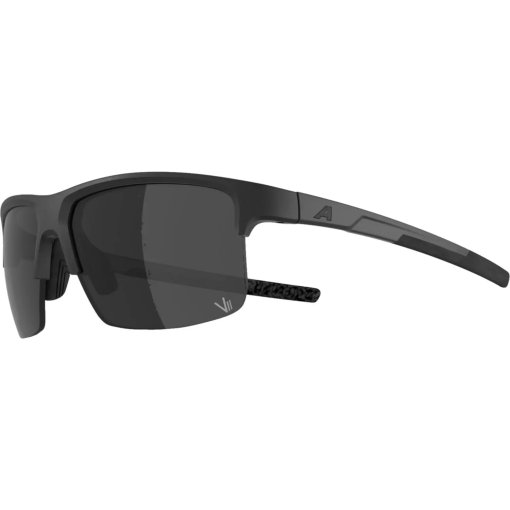 Foto de Alpina Eagle Q-Lite Gafas - black matt/silver mirror
