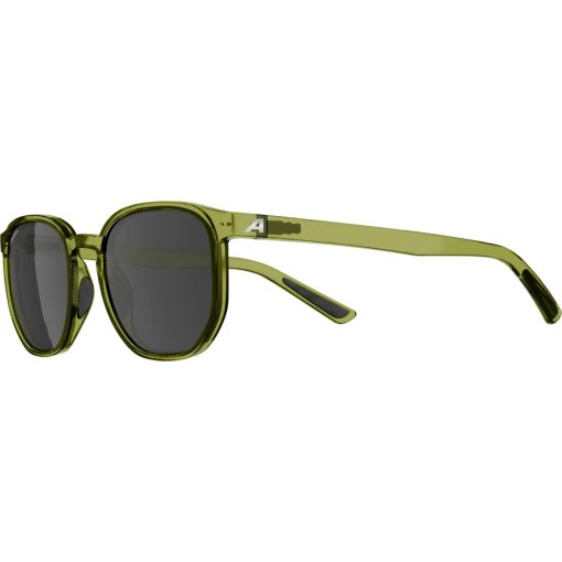 Photo produit de Alpina Dimont Lunettes - green transparent gloss/black