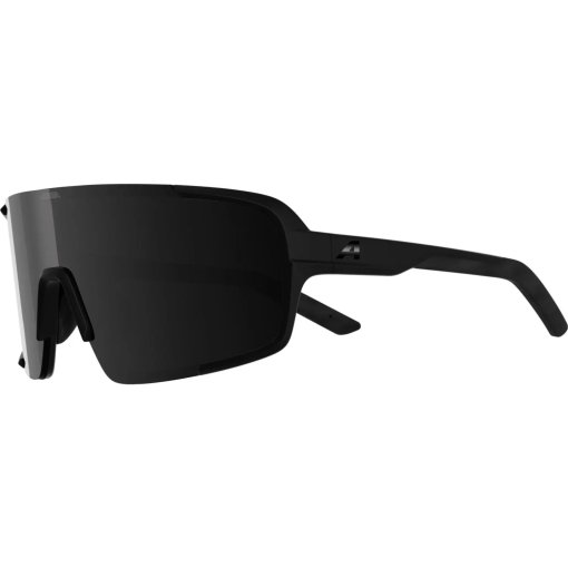 Foto de Alpina Lumin Gafas - black matt/black
