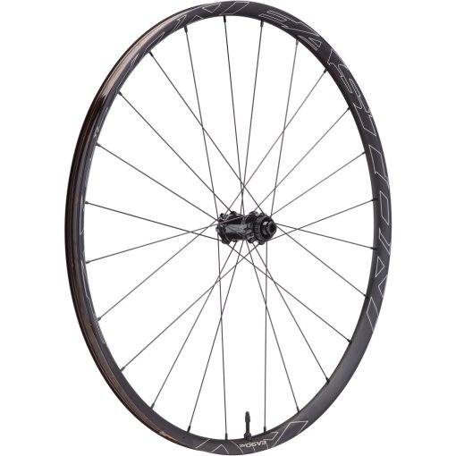 Immagine prodotto da Easton EA90 AX Disc Front Wheel - Clincher - Centerlock - 12x100mm