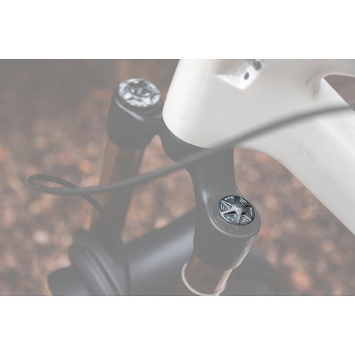 Photo produit de OAK Components Capuchon de valve AIR pour fourches à suspension - lunargrey