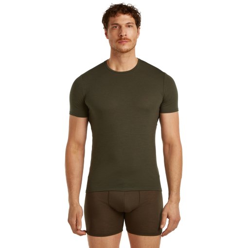 Picture of Icebreaker Merino Anatomica Short Sleeve Crewe T-Shirt Men - Dark Loden