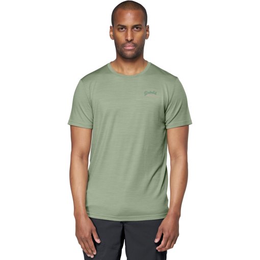 Productfoto van Devold Premium Woodworker T-shirt voor heren - 402A Fog