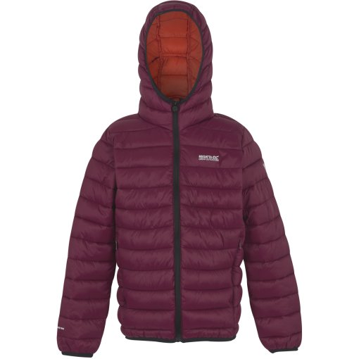 Foto de Regatta Chaqueta con Capucha Niños - Marizion - Dark Pimento ZTU