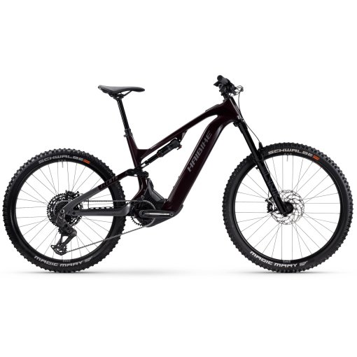 Immagine prodotto da Haibike MTB Elettrica Carbonio - ALLMTN CF 9 - 2025 - black / platinum - glossy