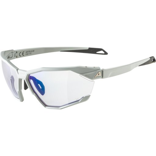 Foto de Alpina Gafas - Twist Six V(M) - smoke-grey matt / Varioflex blue