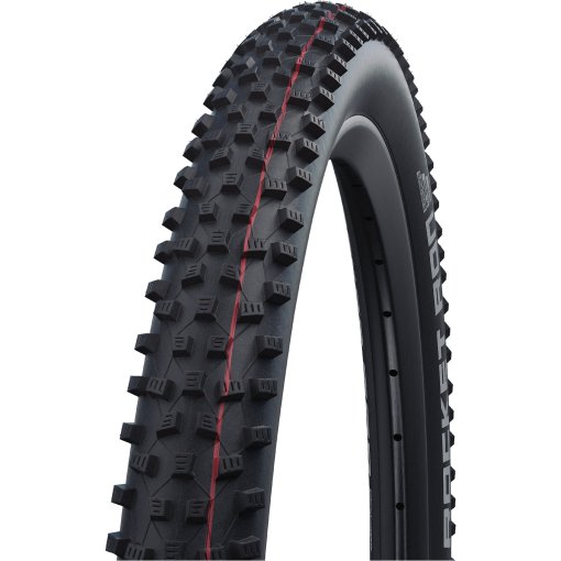 Schwalbe Racing Ray Folding Tire - Evolution | AddixSpeed