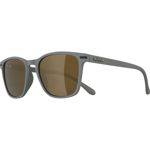 Foto de Alpina Gafas - Yefe - moon-grey matt/mirror bronce