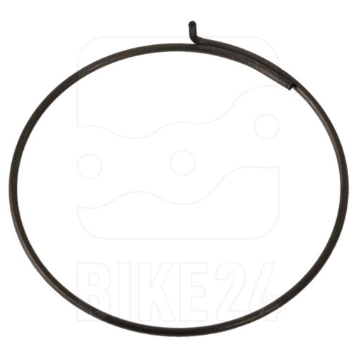 Immagine prodotto da Campagnolo FH-RE114 - Pawl Spring for Record Freewheel