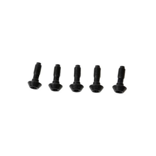 Immagine prodotto da Magura Banjo Bolt for MT Caliper - 5 Pieces