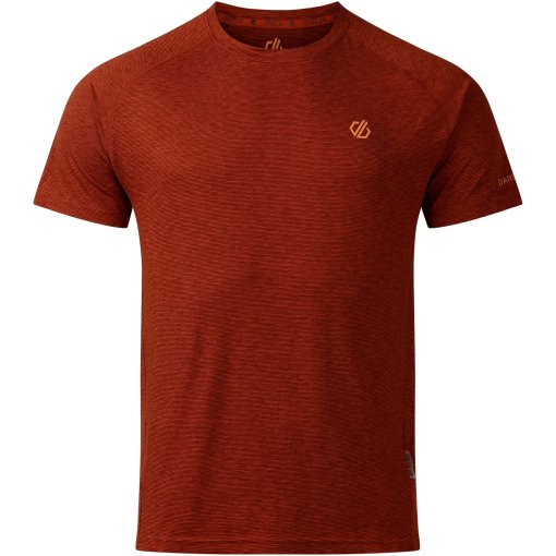 Produktbild von Dare 2b Persist T-Shirt Herren - ZSY ArabianSpice