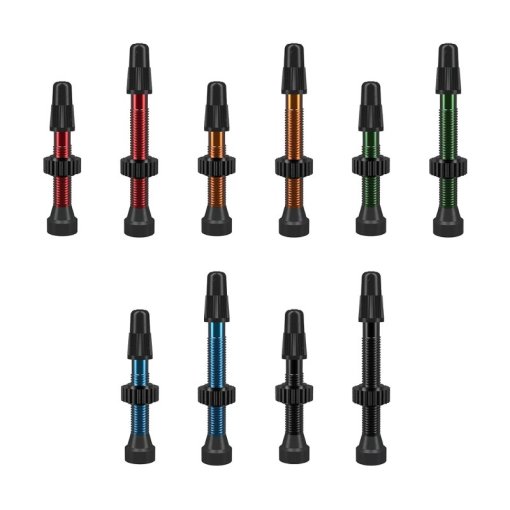 Immagine prodotto da WTB TCS Alluminio Presta Valvola per Tubeless (2 Pezzi)