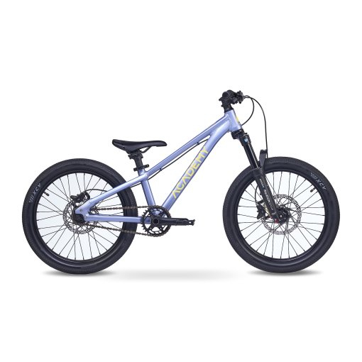 Foto de Academy Bicicleta Niño 20&quot; - PUMP 4 - 2026 - frost