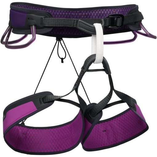 Image of Black Diamond Zone Harness Men - Piton Purple