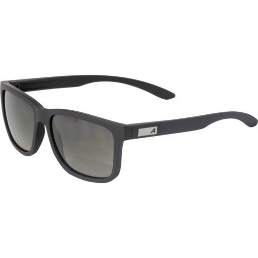 Foto de Alpina Gafas - Burst - black matt/black