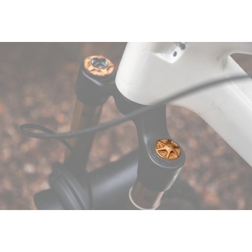 Photo produit de OAK Components Capuchon de valve AIR pour fourches à suspension - kashgold