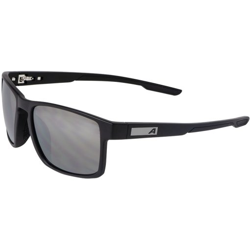Foto de Alpina Gafas - Stream - black matt/black