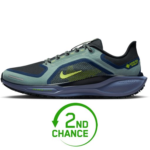 Produktbild von Nike Pegasus 41 GORE-TEX Straßenlaufschuhe Herren - cannon/volt-obsidian-seaweed FQ1356-006 - B-Ware