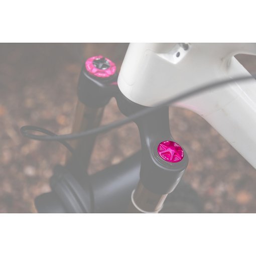 Photo produit de OAK Components Capuchon de valve AIR pour fourches à suspension - rose