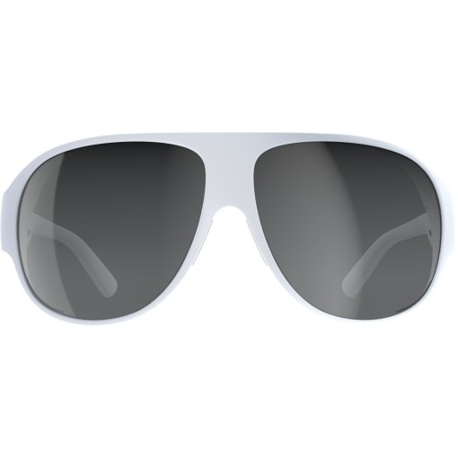 Lunettes POC Nivalis avec verre Grey White Mirror