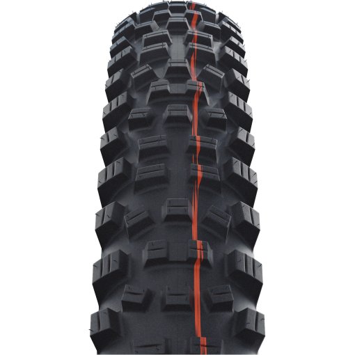 Schwalbe Dirty Dan Folding Tire - Evolution | Addix Ultra