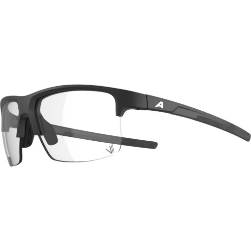 Foto de Alpina Eagle V Gafas - black matt/Varioflex