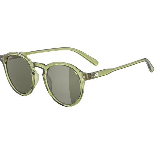 Foto de Alpina Gafas - Sneek - green-transparent gloss/green
