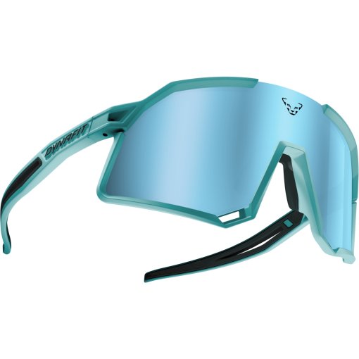 Foto de Dynafit Gafas de Sol - Trail Evo - Marine Blue Blueberry