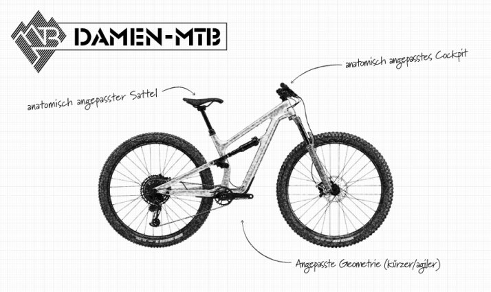 Damen Mountainbike Infografik Damen Mountainbike Infografik
