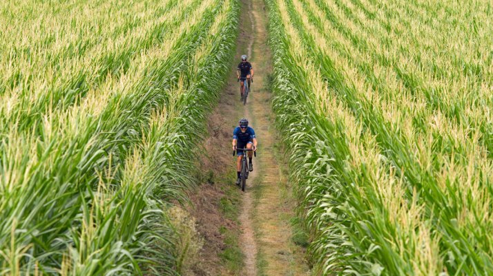 Graveln entlang grüner Felder Bist du bereit fürs Abenteuer? Dann ab auf Gravel-Bike!