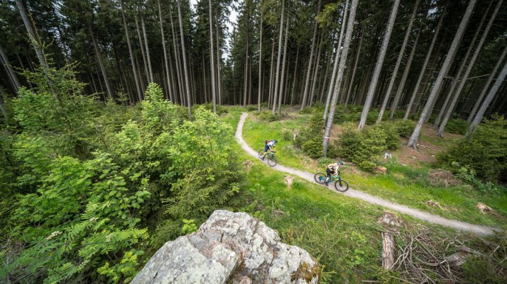 Mountainbiken im Erzgebirgigen Dunkelwald