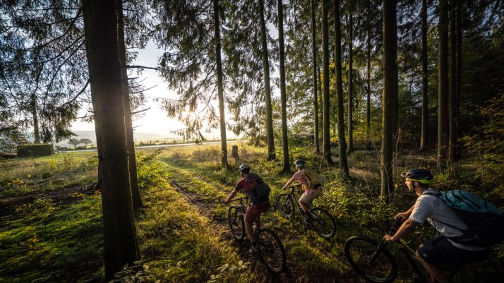 Des pistes de VTT variées à travers les Ardennes belges Des pistes de VTT variées à travers les Ardennes belges