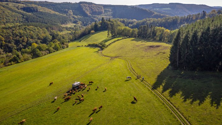 MTB-Trails mit spektakulären Panoramen