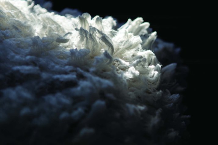 En detalle la lana de merino