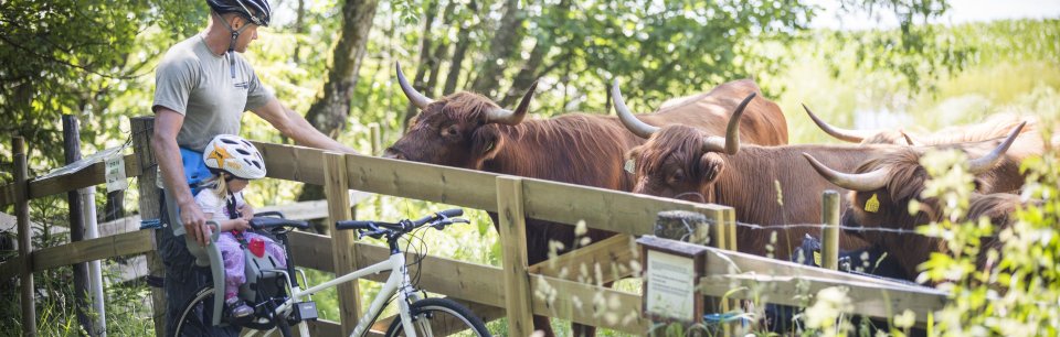 Un padre e sua figlia, seduta su un seggiolino Hamax, si prendono una pausa per osservare in tranquillità un gruppo di mucche al pascolo