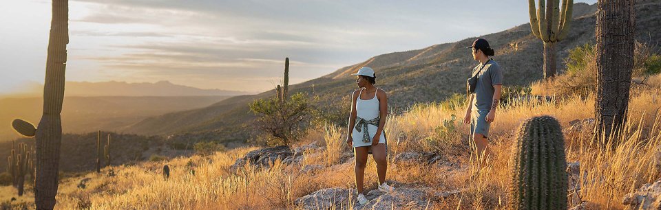 The North Face - Ropa y Equipamiento para Deportistas y Aventureros