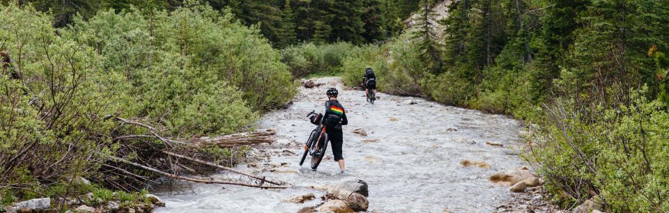 Salsa Cycles - Cool MTBs, Fatbikes, Travel Bikes