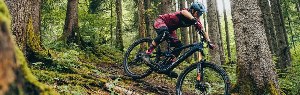 Faites l'expérience d'une toute nouvelle sensation de conduite sur votre vélo électrique avec les moteurs TQ !