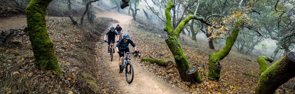 Marin: le bici che hanno fatto la storia
