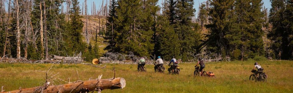 Portapacchi per bici Old Man Mountain Online